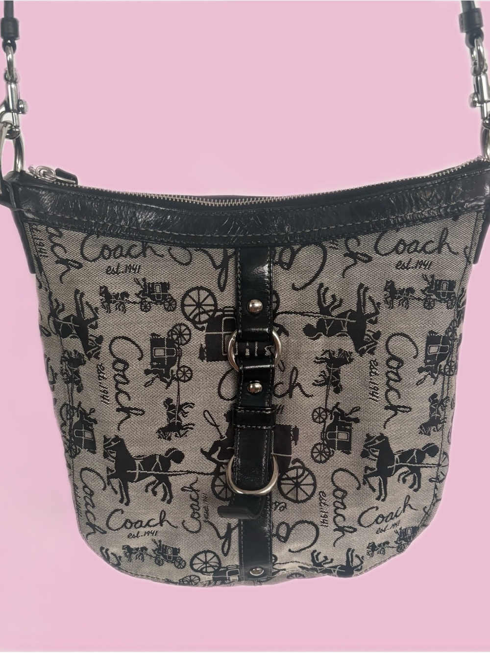 🐚 coach chelsea horse carriage canvas bag